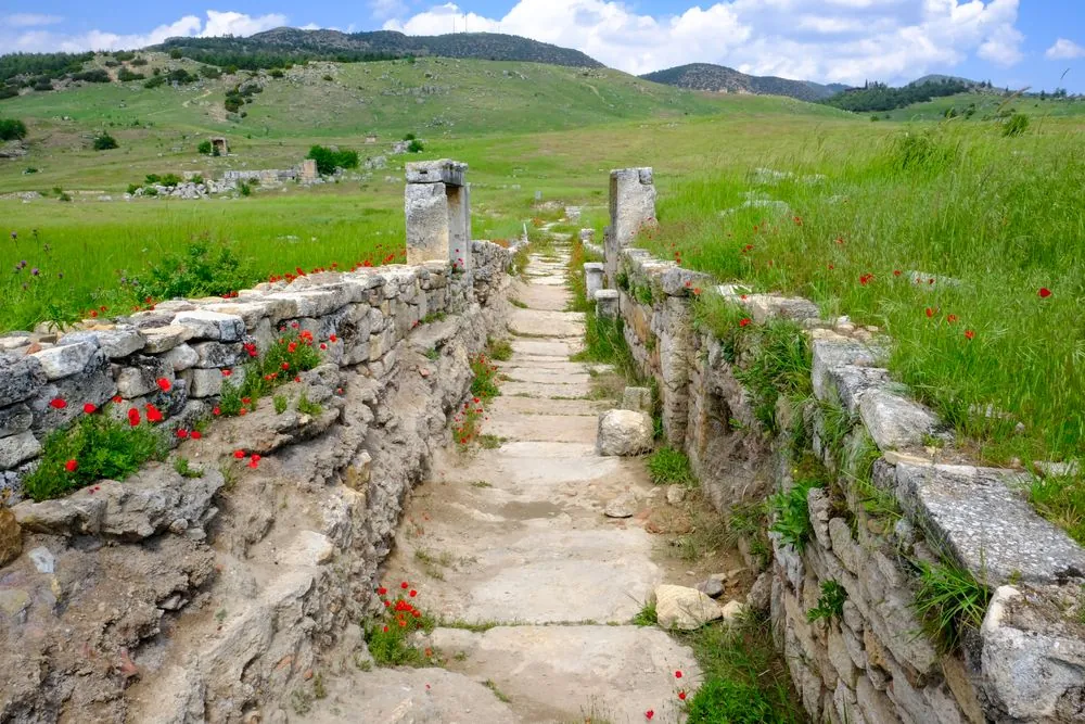 An ancient stone path between low stone walls, running through green fields