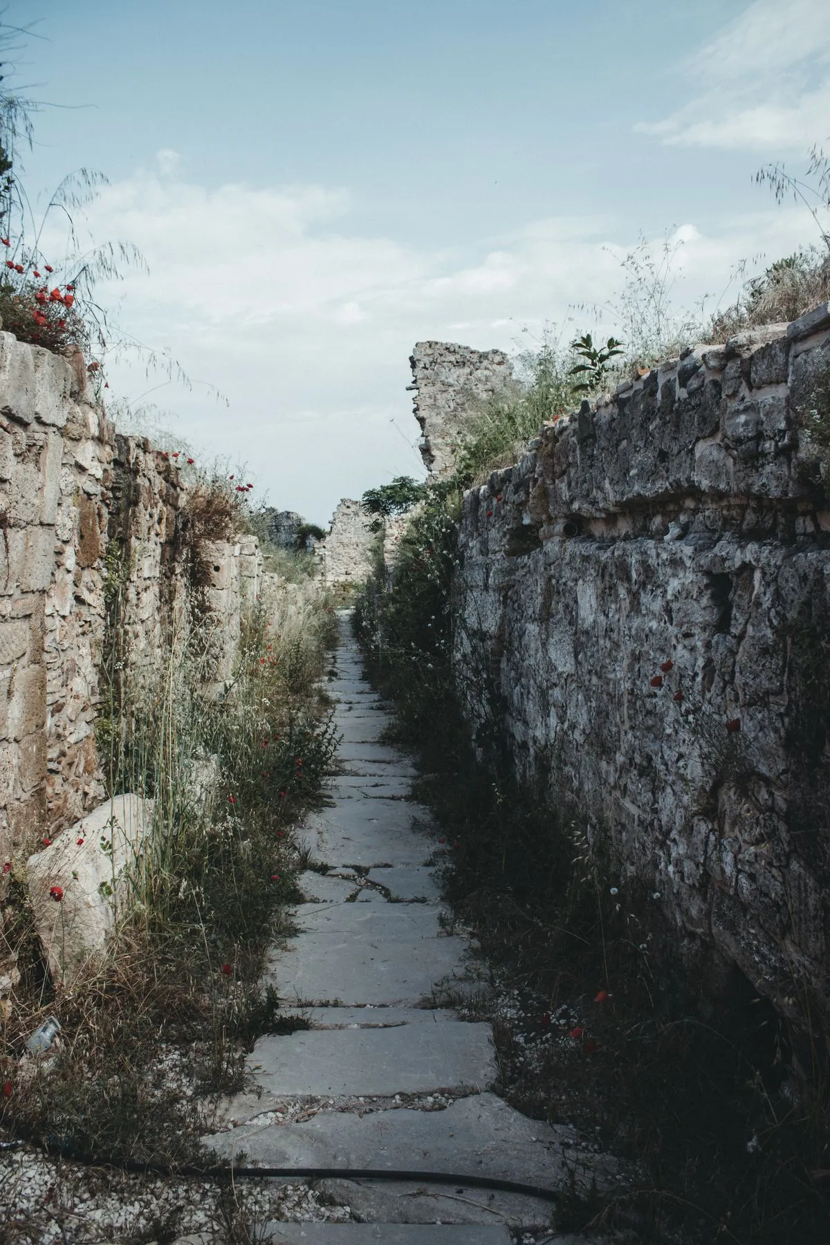 A narrow stone path between ruined stone walls